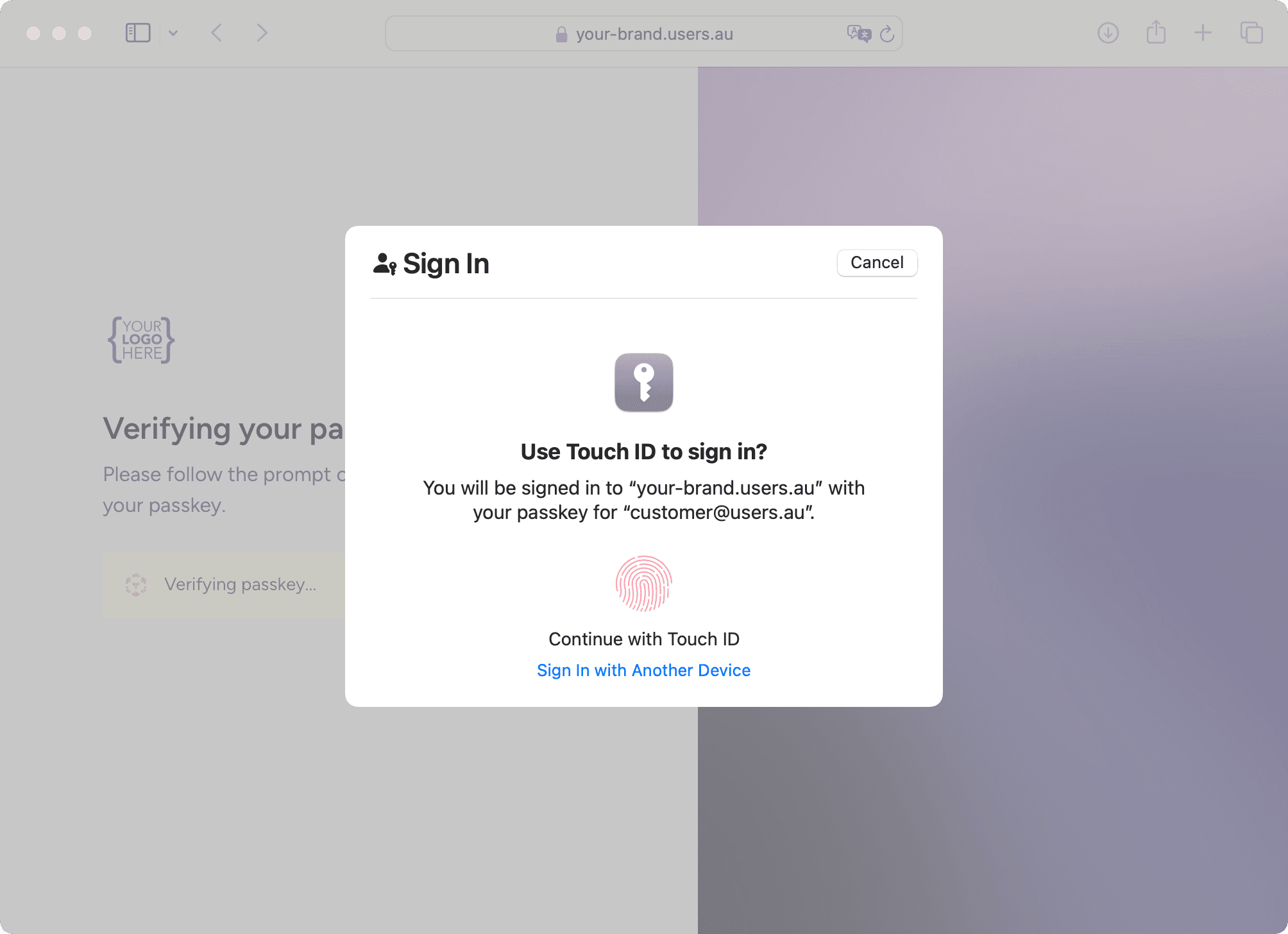 Biometric Authentication